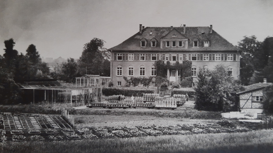 Pflanzenernährungsinstitut in den 1930 er Jahren