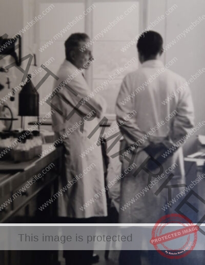 Foto Prof. Maiwald im Institut